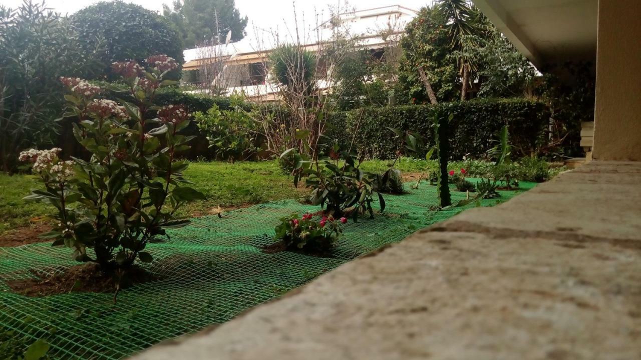 Garden Studio 55 s.m. Atenas Exterior foto